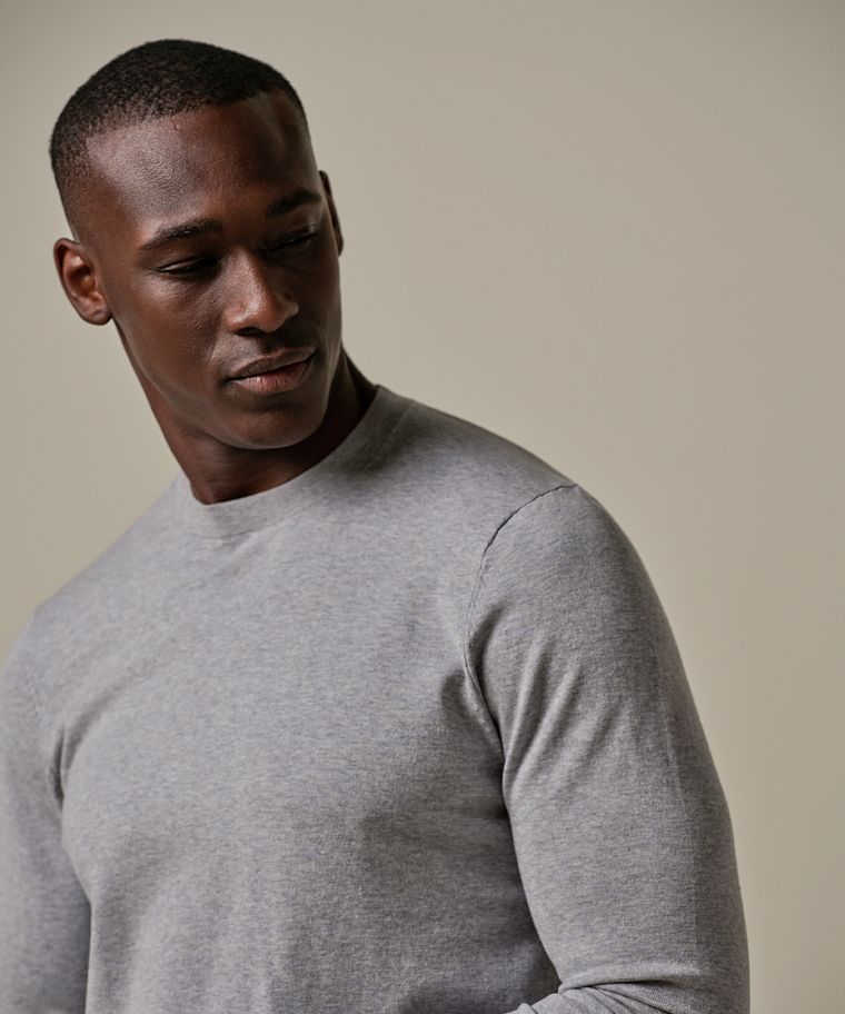 Profuomo Grijze Luxury Basic Crewneck