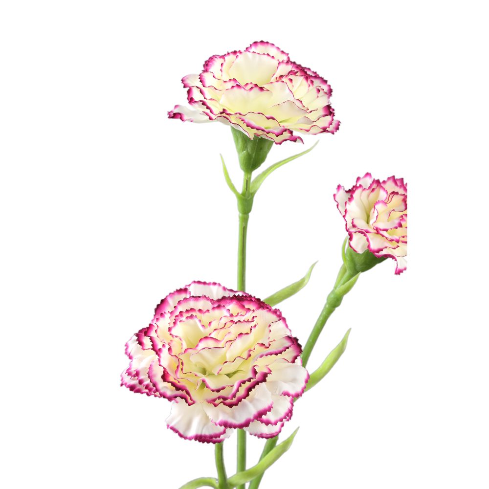 Ptmd Carnation Flower Foliage Carnation Flower Kunstbloemen