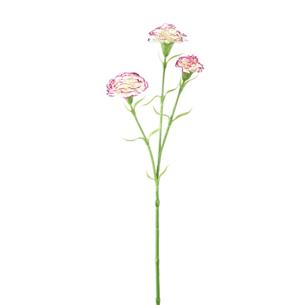 ptmd Carnation Flower Foliage Carnation Flower Kunstbloemen