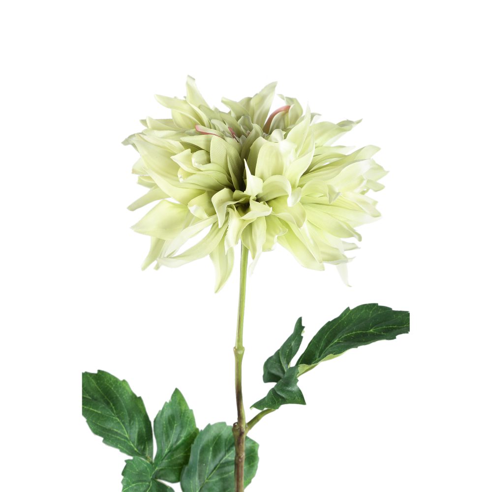 Ptmd Dahlia Flower Foliage Dahlia Flower Kunstbloemen