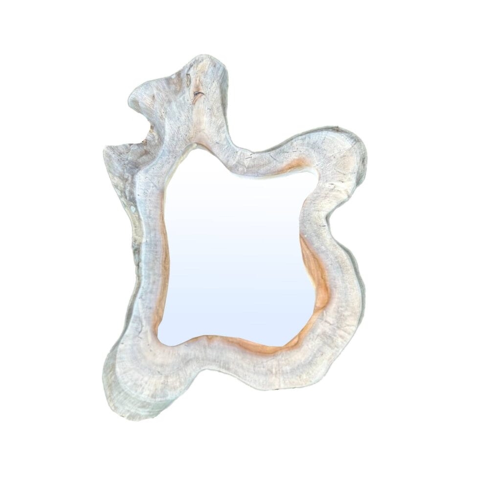 ptmd Hyro Decoratie Hyro Spiegels