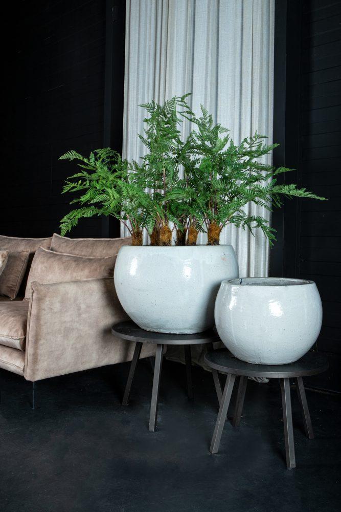 Ptmd Rae Bowl Pottery Rae Bowl Ceramic Pots