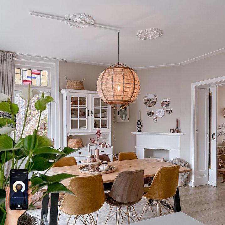 qazqa Smart hanglamp bruin 50 cm incl. Wifi G95 - Pascal