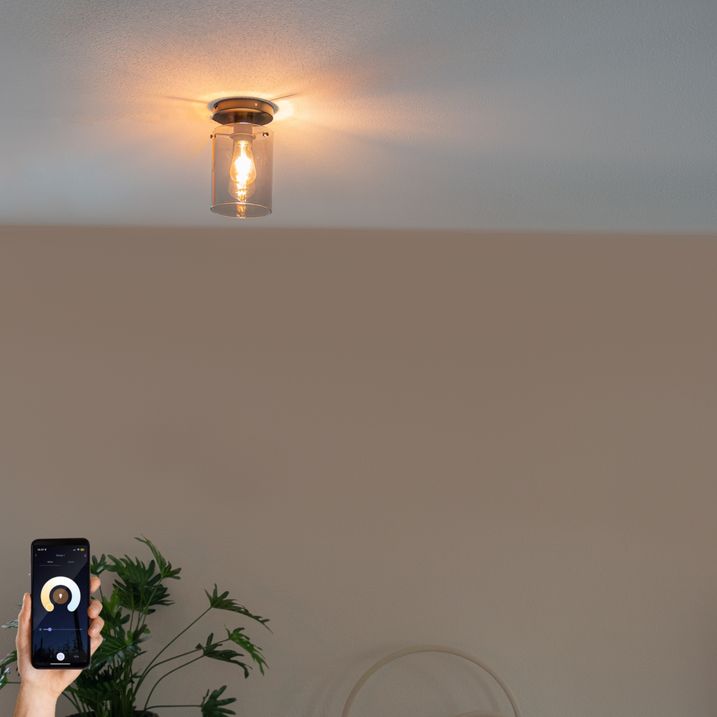 qazqa Smart plafondlamp zwart met smoke glas incl Wifi ST64 - Dome