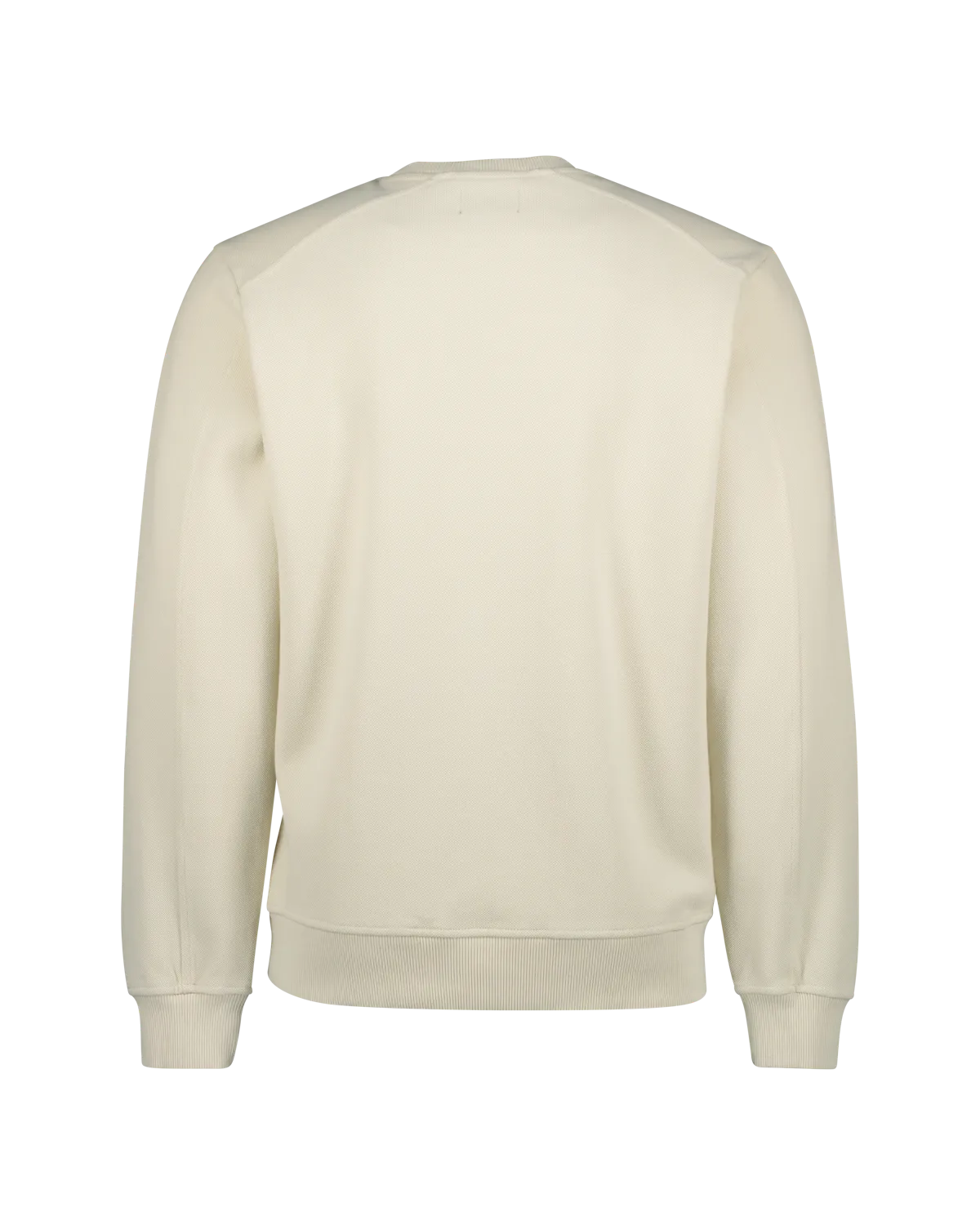 Raizzed Sweater Medora