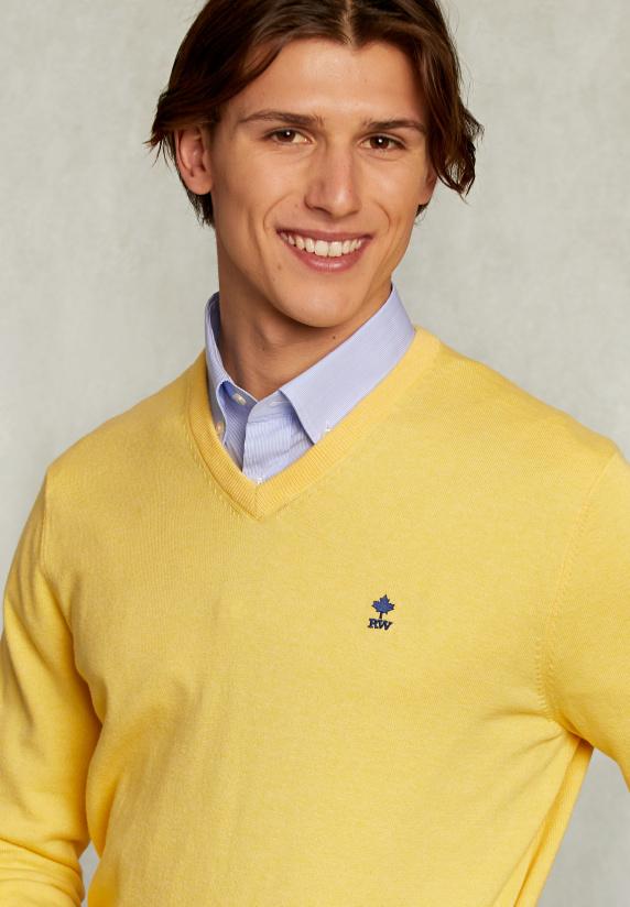 River Woods Normal Fit Basic Katoenen V-hals Trui Butterfly Mix