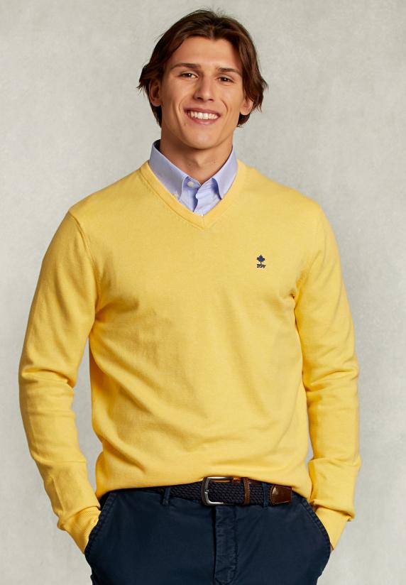 river woods Normal fit basic katoenen V-hals trui butterfly mix