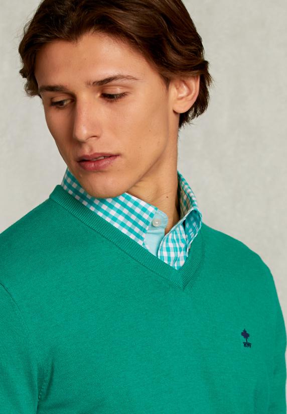 River Woods Normal Fit Basic Katoenen V-hals Trui Green Twist Mix