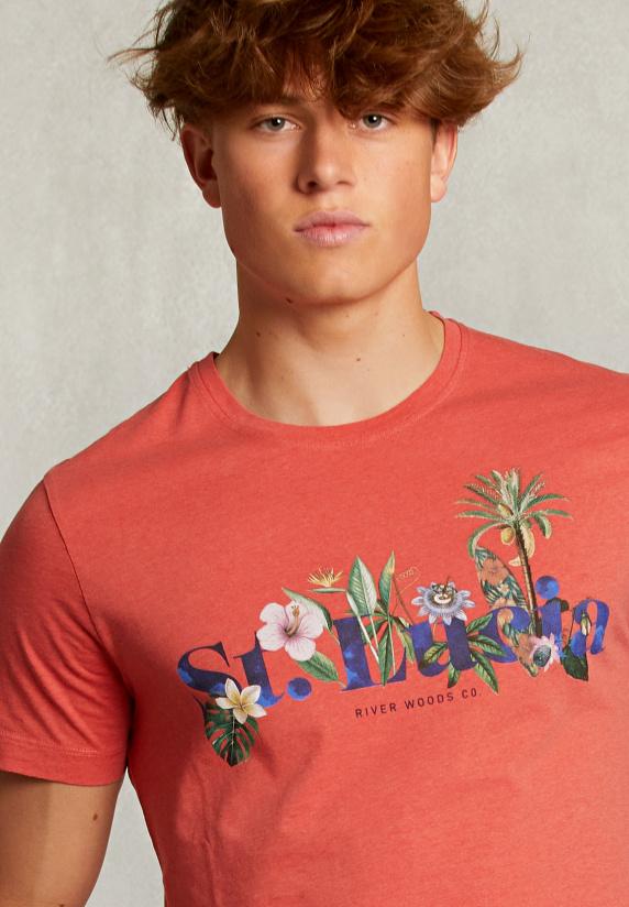 River Woods Normal Fit Basic T-shirt Dark Cosmopolitan Mix