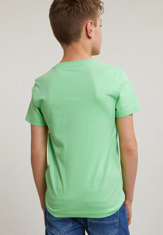 River Woods Normal Fit Basic T-shirt Korte Mouwen Mojito