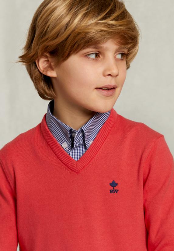 River Woods Normal Fit Basic V-hals Trui Cosmopolitan