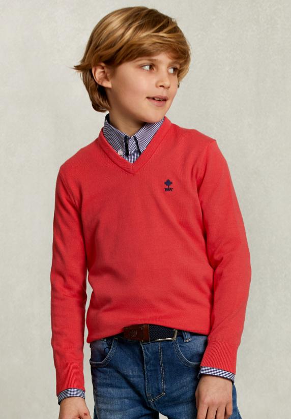 River Woods Normal Fit Basic V-hals Trui Cosmopolitan