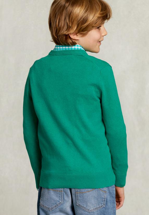 River Woods Normal Fit Basic V-hals Trui Green Twist Mix