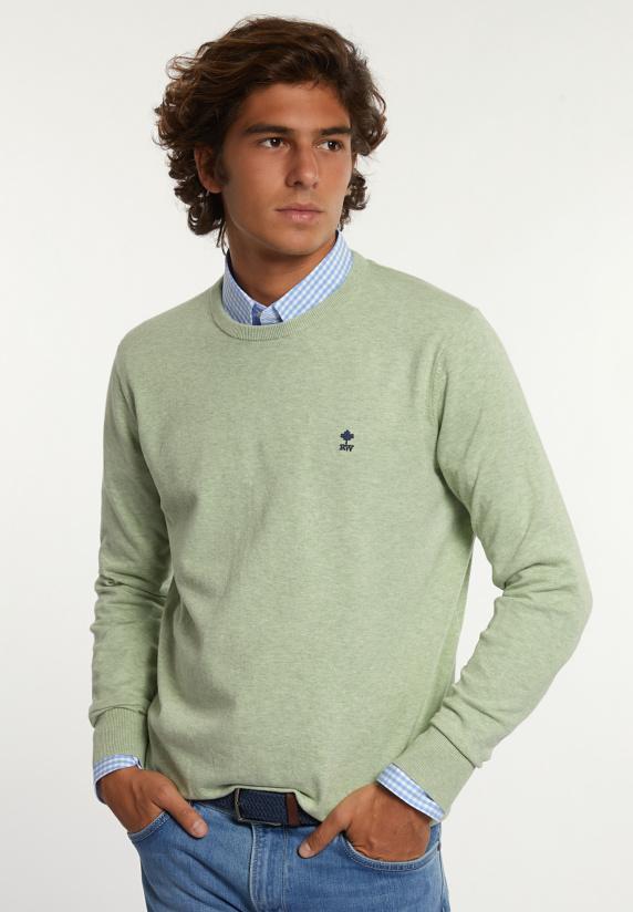 river woods Normal fit katoenen basic trui ronde hals matcha mix