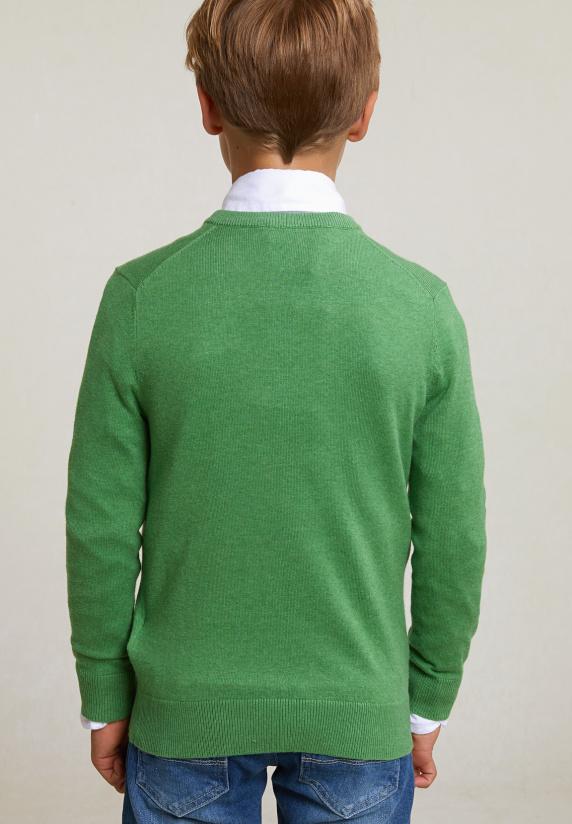 River Woods Normal Fit Katoenen Basic V-hals Trui Apple Mix