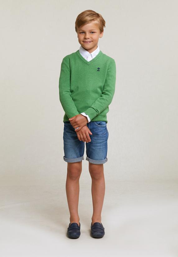 River Woods Normal Fit Katoenen Basic V-hals Trui Apple Mix