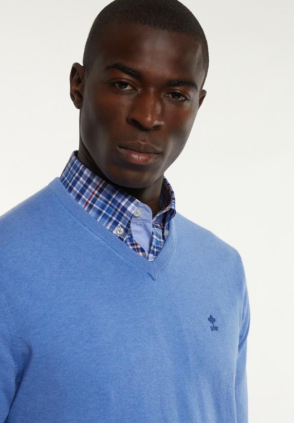 River Woods Normal Fit Katoenen Basic V-hals Trui Blue Azure Mix