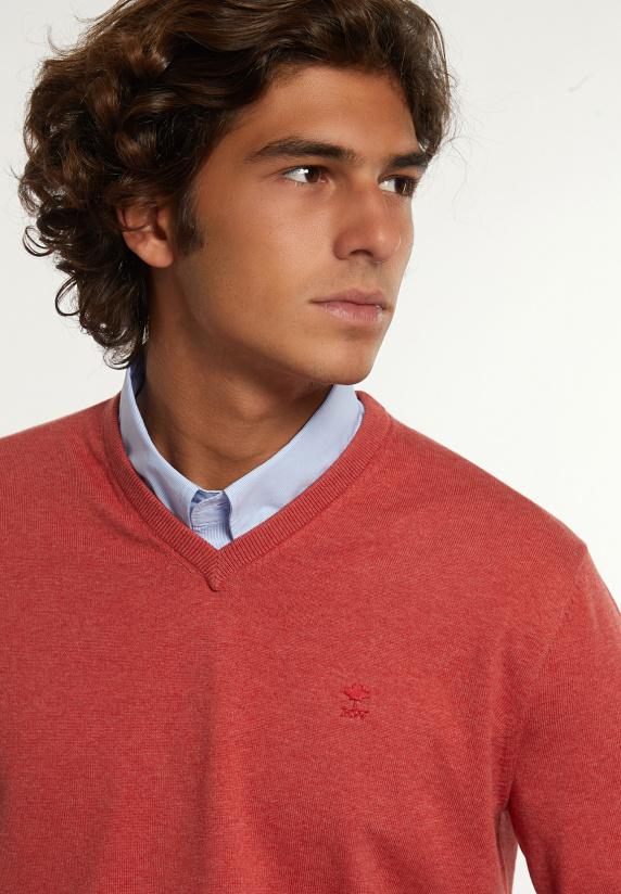 River Woods Normal Fit Katoenen Basic V-hals Trui Cherry Mix