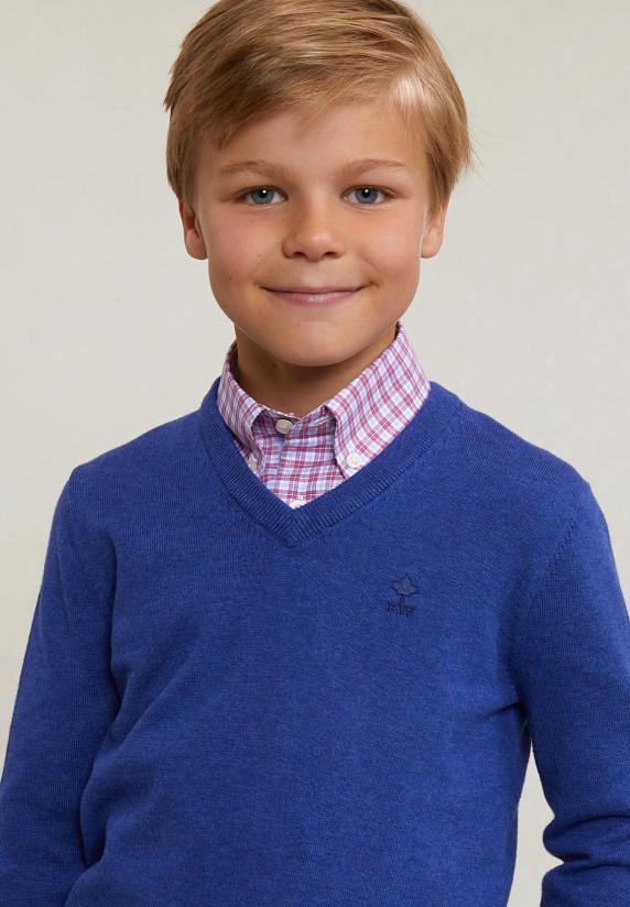 River Woods Normal Fit Katoenen Basic V-hals Trui Lake Mix