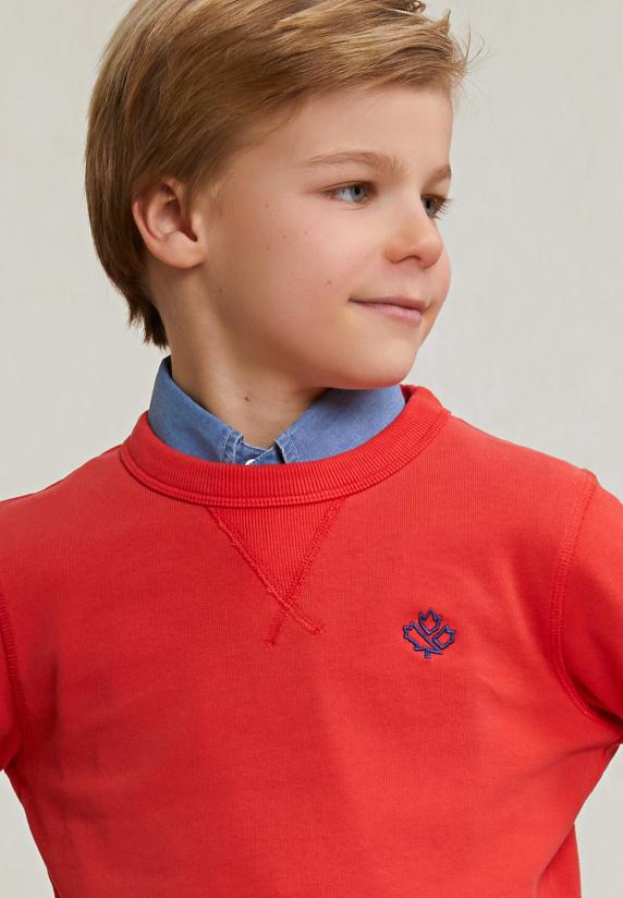 River Woods Fancy Trui Ronde Hals Cornell