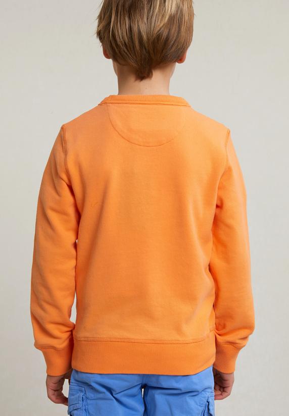 River Woods Fancy Trui Ronde Hals Peach