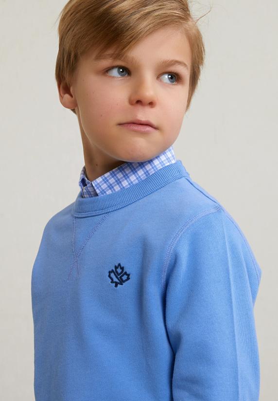 River Woods Fancy Trui Ronde Hals Sky