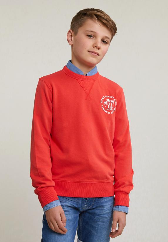 river woods Fantasietrui ronde hals cornell