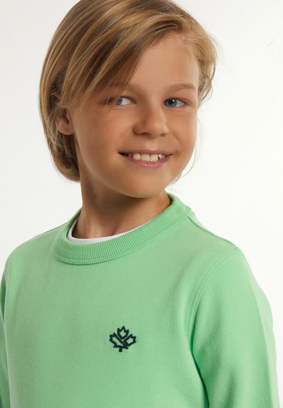 River Woods Katoenen Trui Ronde Hals Lime