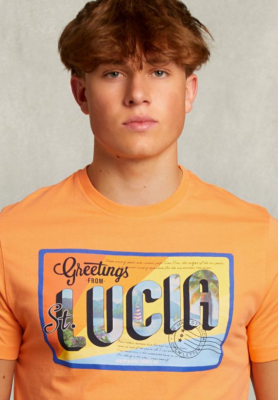 River Woods Normal Fit Basic T-shirt Sunrise