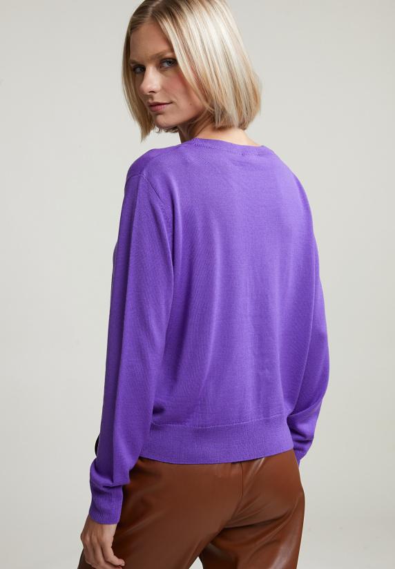 River Woods Paarse Boxy Trui Ronde Hals