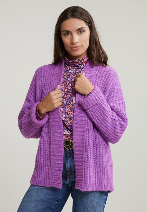 River Woods Paarse Korte V-hals Cardigan