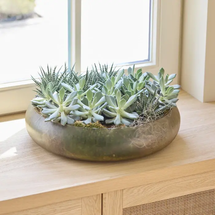 Riviera Maison Decoratieschaal Xiavieria