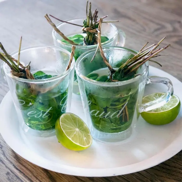 Riviera Maison Dubbelwandig Theeglas C'est Chaud M