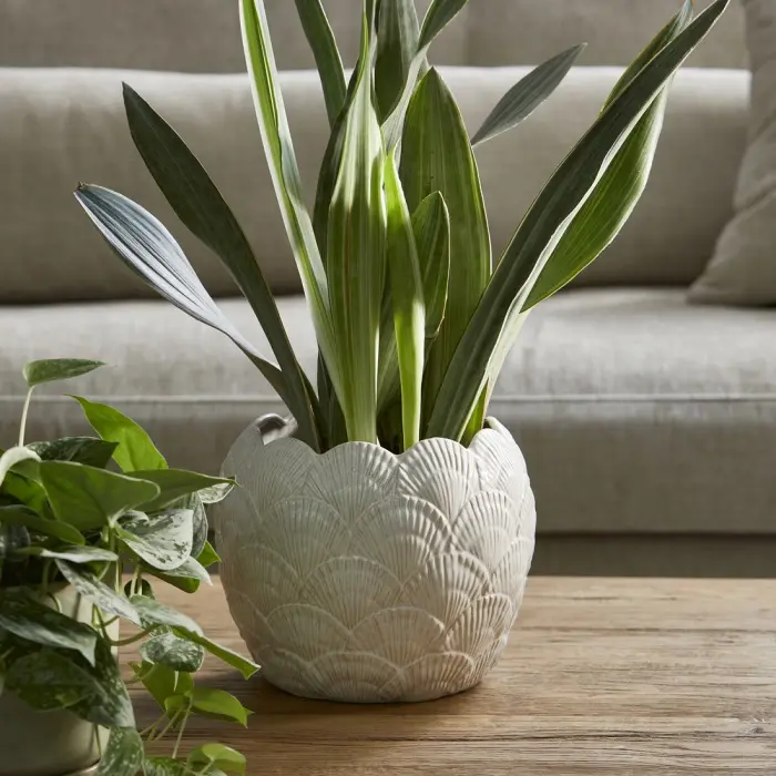 Riviera Maison Pot Shell