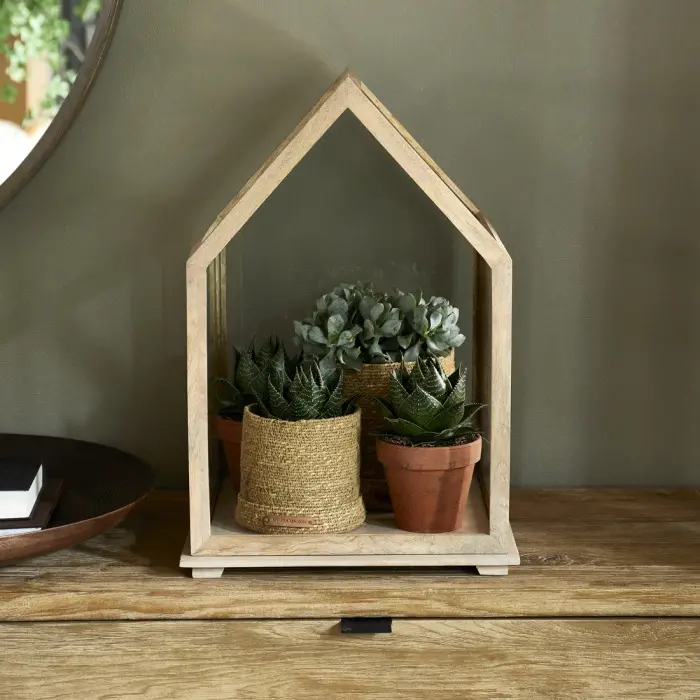 Riviera Maison Vitrinedoos De Saleccia Maat L