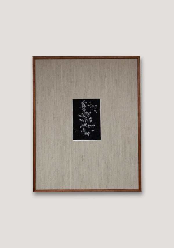 Róhe Framed Print | Wood