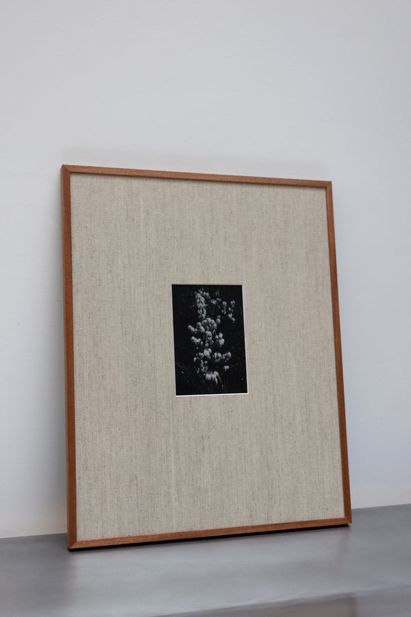 róhe framed print | wood