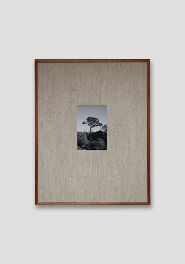 Róhe Framed Print | Wood