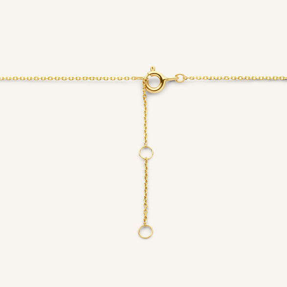 Rosefield Lock Pendant Necklace