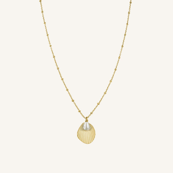 rosefield Shell and pearl necklace Goudkleurig