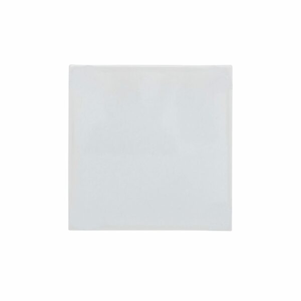 royal delft Tegel Blanco