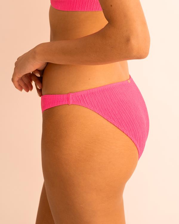 Sam Friday Bahia Flamingo