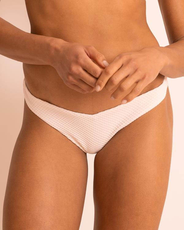 Sam Friday Venga Shell