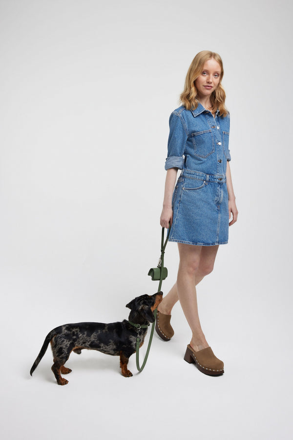 Smaak Dog Collection COLLAR PISTACHE