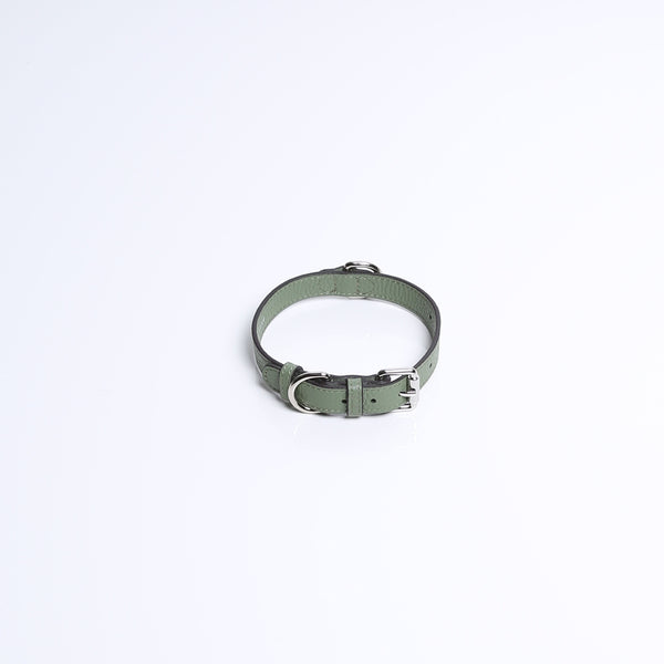 smaak Dog Collection COLLAR PISTACHE