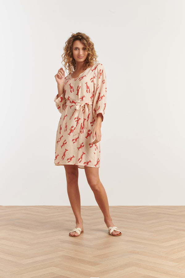 Smashed Lemon 35099 Jurken | Off White - Red