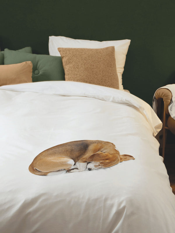 snurk Bob dekbedovertrek