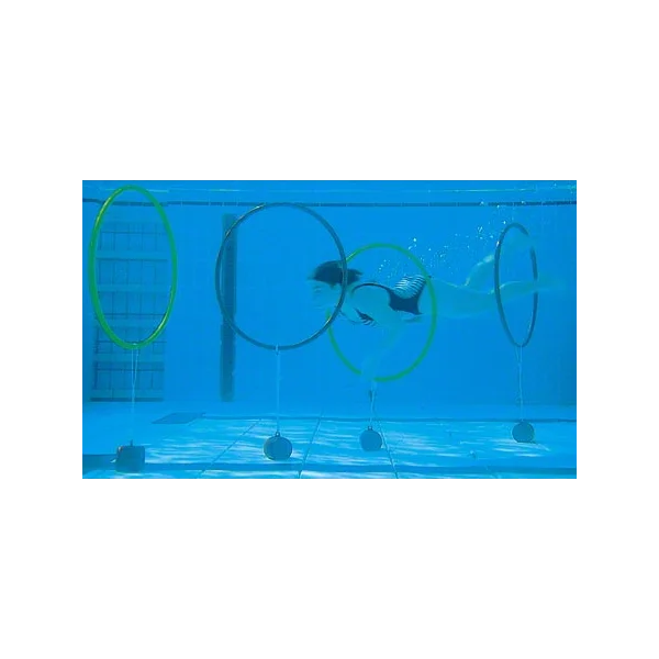 Sport Thieme Sport-Thieme Stand-up-Hoepel