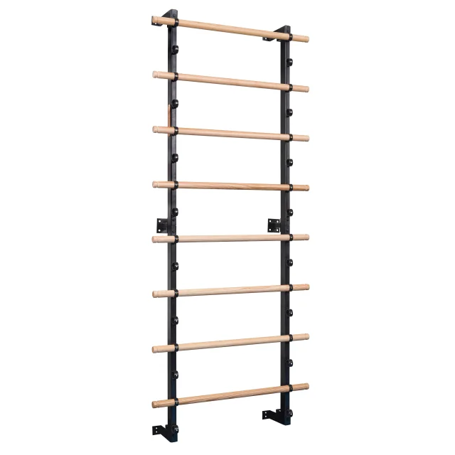sport thieme Sport-Thieme Turnwand los element „TuWa Roosterladder“
