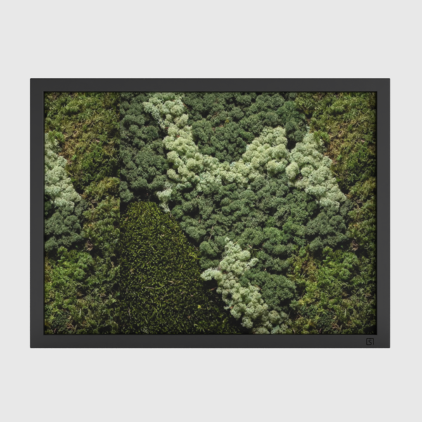 steellish Mos Schilderijen